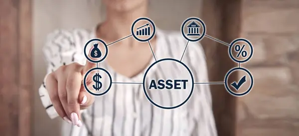 Concept Van Asset Bedrijfsconcept — Stockfoto
