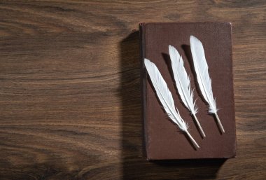 Kuş tüyü ve kitap ahşap masada..