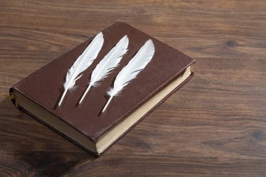 Kuş tüyü ve kitap ahşap masada..