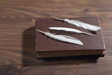 Kuş tüyü ve kitap ahşap masada..