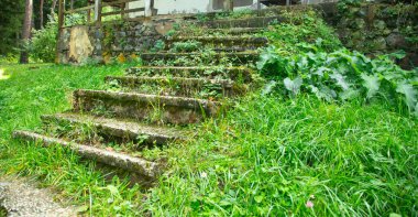 Ormanda unutulmuş merdivenler. Seyahat et. Açık havada.