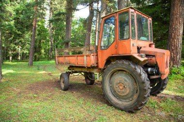 Yeşil ormanda terk edilmiş eski traktör..