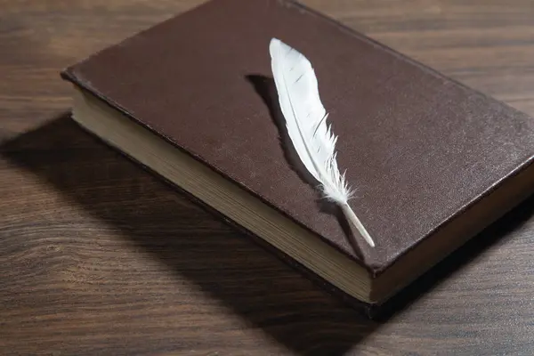 Bird feather and book on the wooden table.