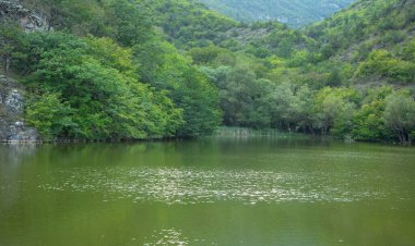 Güzel manzara. Ormanlı yeşil göl 