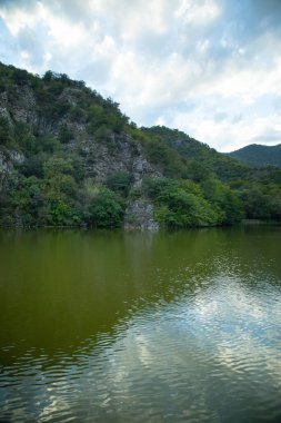 Güzel manzara. Ormanlı yeşil göl 