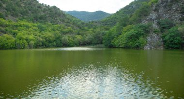 Güzel manzara. Ormanlı yeşil göl 