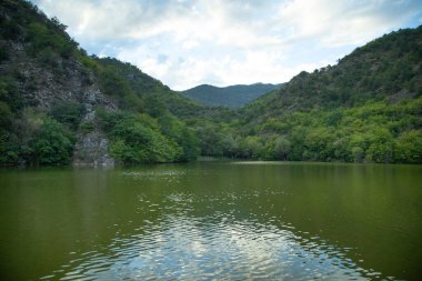 Güzel manzara. Ormanlı yeşil göl 