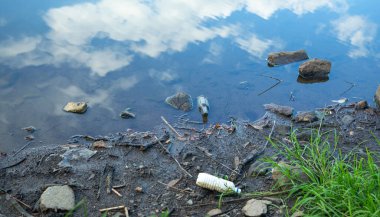 Gölün taşları. Çevre