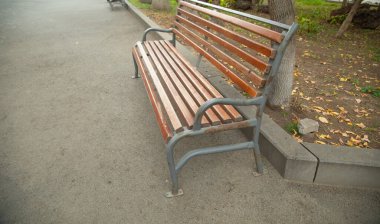 Parktaki ahşap bank..