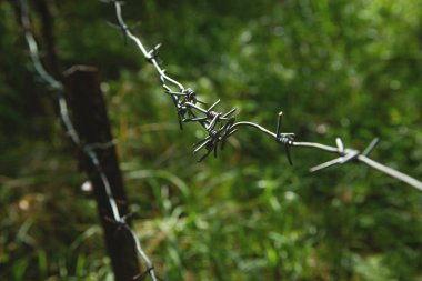 Yeşil ormanda dikenli teller. Tehlike bölgesi