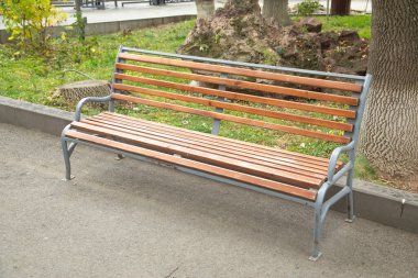 Parktaki ahşap bank..