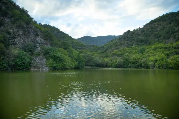 Güzel manzara. Ormanlı yeşil göl 