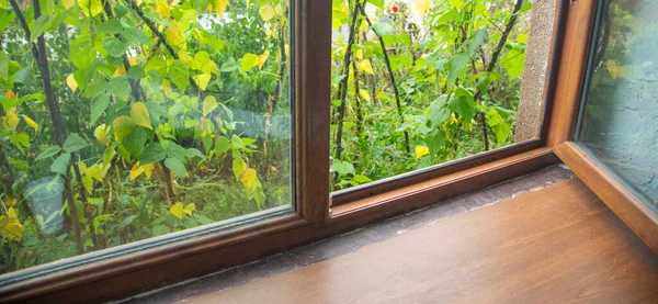 Brown plastic pvc window with a green nature.