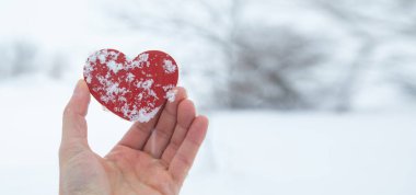 Erkek eli kışın kırmızı kalbi gösterir..