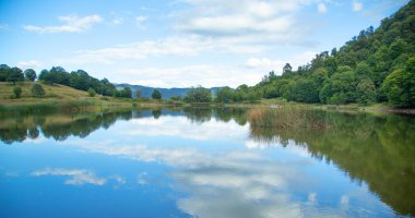 Güzel göl manzarası. Yaz. Çevre