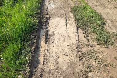  Baharda doğada kirli zemin yolu.