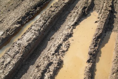 Baharda doğada kirli zemin yolu.