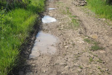  Baharda doğada kirli zemin yolu.