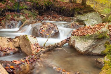 Sonbaharda akan suyla birlikte dere.