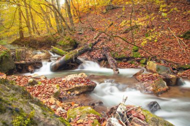 Sonbaharda akan suyla birlikte dere.