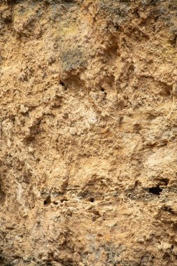 Kirli açık arkaplan dokusu. 