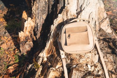 Açık arkaplanda şık bir el çantası.