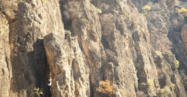 Taş zemin ya da doku. Açık hava taşı