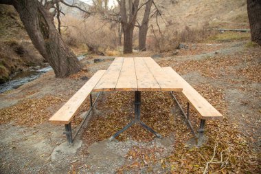 Sonbaharda ormanda ahşap banklar ve masa.
