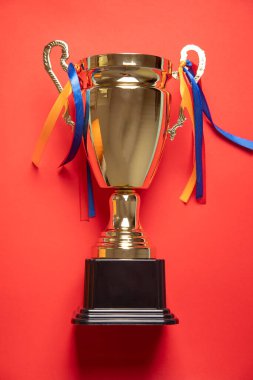 Şampiyon altın kupa. Başarı