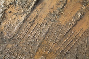  Bahar zamanı doğada kirli ve çamurlu zemin yolu.