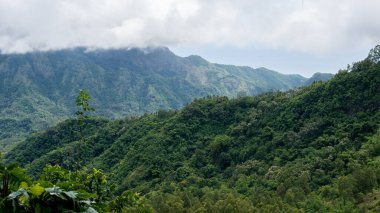 Ağaçlı ve bulutlu dağların manzarası. sri lanka