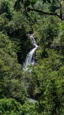 Kafkasların dağlarında güzel bir şelale.