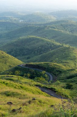 Dolambaçlı bir yol, yemyeşil tepelerde dolaşır, büyüleyici bir manzara yaratır, yumuşak güneş ışığıyla yıkanır..