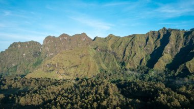İnsansız hava aracından çarpıcı bir görüntü, yoğun, canlı yeşil bir orman sergiliyor, doğa ve çevre temaları için mükemmel..