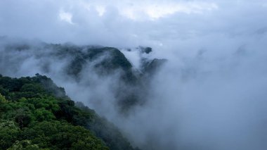 Yoğun sisle kaplı yemyeşil dağların havadan görünüşü mistik ve dingin bir atmosfer yaratıyor. Yuvarlanan tepeler ve sisli tepeler manzaraya dramatik ve sinematik bir hava veriyor..