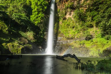 Bereketli yeşil bitki örtüsüyle çevrili kayalık bir arazide akan çok katmanlı bir şelalenin nefes kesici manzarası. Kristal berraklığında su, yosun kaplı kayalardan aşağı yuvarlanarak huzur verici bir...