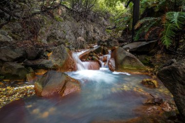 Bereketli yeşil bitki örtüsüyle çevrili kayalık bir arazide akan çok katmanlı bir şelalenin nefes kesici manzarası. Kristal berraklığında su, yosun kaplı kayalardan aşağı yuvarlanarak huzur verici bir...