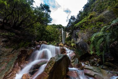 Bereketli yeşil bitki örtüsüyle çevrili kayalık bir arazide akan çok katmanlı bir şelalenin nefes kesici manzarası. Kristal berraklığında su, yosun kaplı kayalardan aşağı yuvarlanarak huzur verici bir...