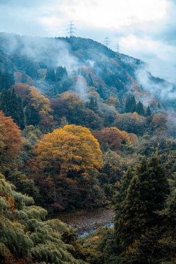 Japonya 'nın kırsal kesimindeki küçük bir nehir, orman ve tepeler üzerinde sakin bir sonbahar günbatımı. Sonbaharın ılık renkleri suları yansıtıyor ve huzurlu bir manzara yaratıyor..