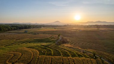 Teraslı pirinç tarlalarının, altın mahsullerin ve dağlarla çevrili yolların üzerinde nefes kesici bir güneş doğumu manzarası. Sabah ışığı kırsal araziyi sıcak tonlarda vurgular..