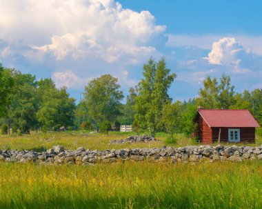 Çayırda küçük bir ahşap ev