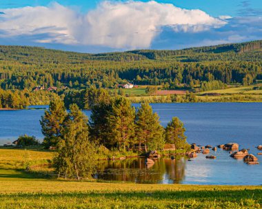 Norveç 'teki güzel göl manzarası. Bir dağ gölü ile yaz manzarası.
