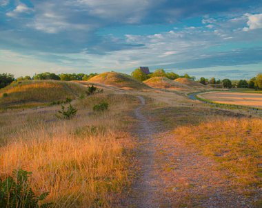 Çimen tarlası olan güzel bir manzara.