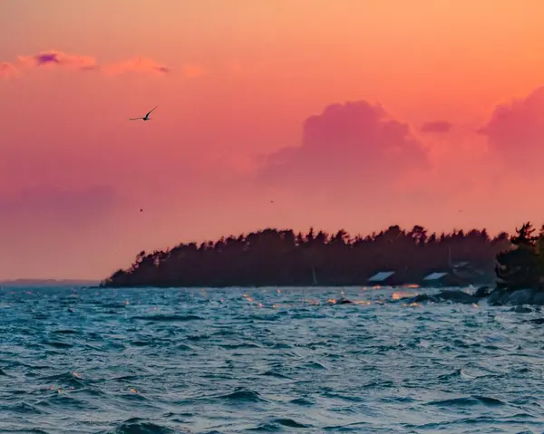 Gün batımında kayalık sahilin dikey görüntüsü.