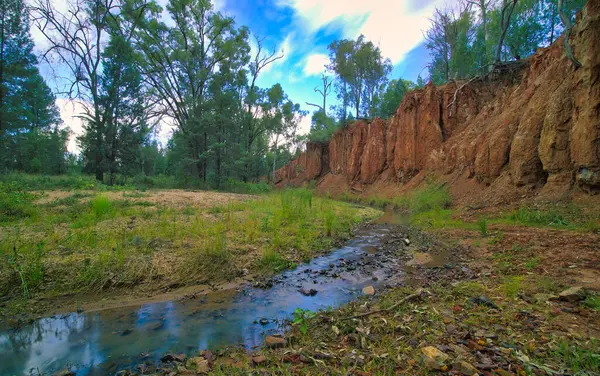 Ormandaki nehrin güzel bir görüntüsü