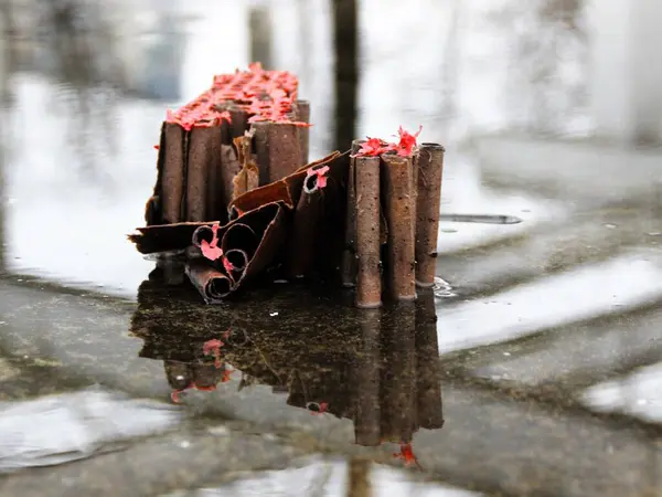 Ağaçtaki kırmızı ve pembe çiçekler