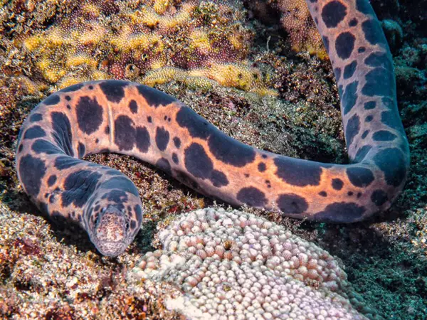 Dağları ve bulutlu gökyüzü olan güzel bir manzara.