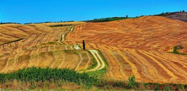 Dağların güzel manzarası