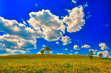 Mavi gökyüzü ve arkaplanda bulutlar olan alan.