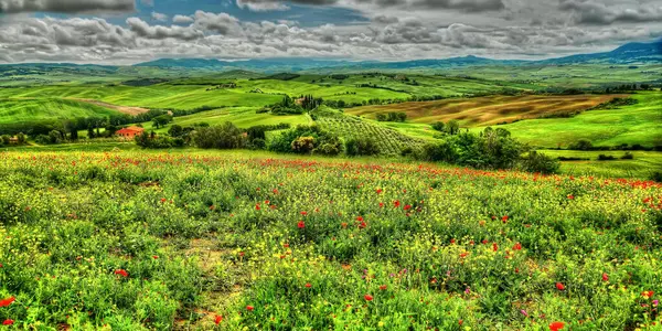 Yeşil çimen ve mavi gökyüzü olan güzel bir manzara.
